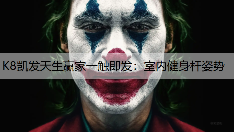 K8凯发天生赢家一触即发：室内健身杆姿势