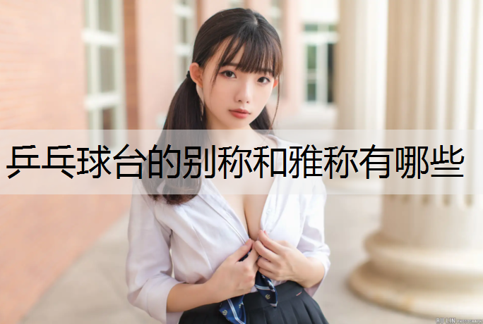 乒乓球台的别称和雅称有哪些